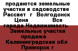 продаются земельные участки в садоводстве “Рассвет“ г. Волгодонск › Цена ­ 80 000 - Все города Недвижимость » Земельные участки продажа   . Калининградская обл.,Приморск г.